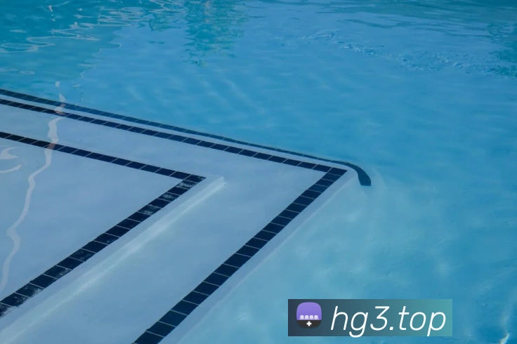 奖项证书